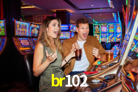 Premium Interface br102