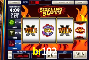 Exclusive Offers br102